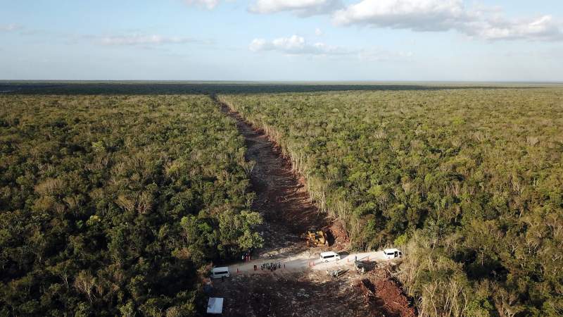 Juez concede nuevo amparo contra Tren Maya; ahora por tramos 6 y 7 –  Primera Línea